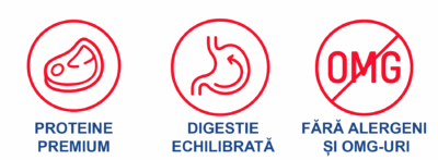 Beneficii hrană umedă Felicia: proteine premium, digestie echilibrată, fără alergeni și OMG-uri