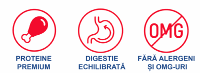 Beneficii hrană umedă Felicia cu pui: proteine premium, digestie echilibrată și formulă fără OMG