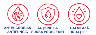"Iconite