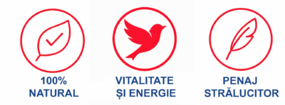 Beneficii hrană PANTO pentru papagali – 100% naturală, oferă vitalitate și energie, contribuie la un penaj strălucitor