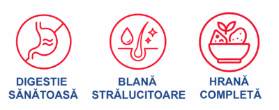 PANTO hrană completă pentru hamsteri – sprijină digestia sănătoasă, oferă blană strălucitoare și vitalitate zilnică, formulă naturală cu Wisan®Lein pentru o dietă echilibrată