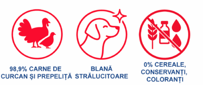 Beneficii hrană Wataha HUNT pentru pisici – carne de curcan și prepeliță, blană sănătoasă, fără cereale sau aditivi