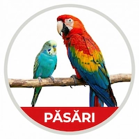 Icon pasari ornamentale