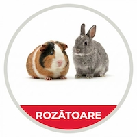 icon categoria rozatoare